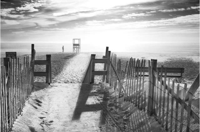 Black and white photography print