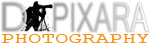Site logo