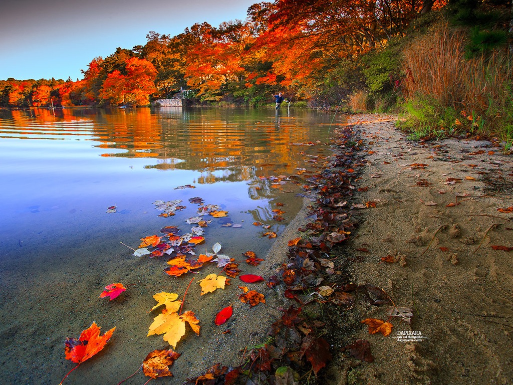 Peaceful and beautiful Fall Foliage Today at Crystal Lake. Orleans, Cape Cod. Dapixara photography https://dapixara.com