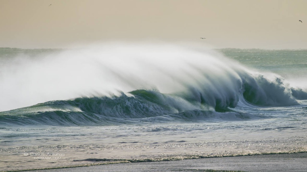 cape-cod-biggest-waves