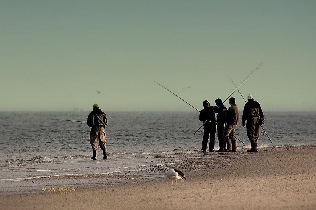 cape cod fishing. Fishing, Race Point beach, Provincetown.