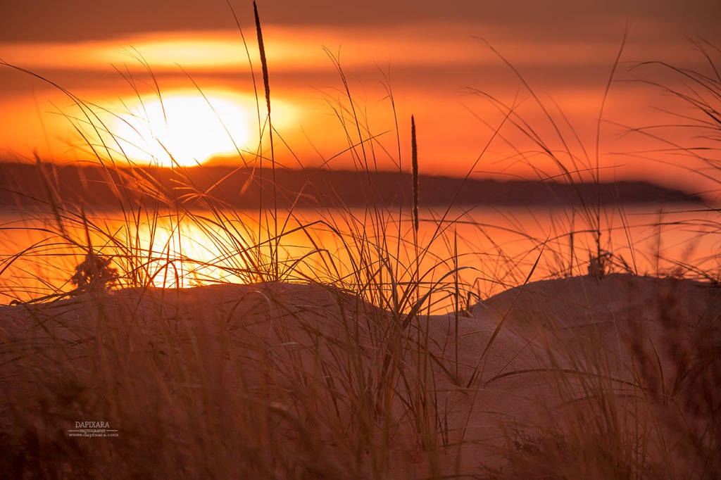 Wellfleet beach sunset. Cape Cod images by Dapixara https://dapixara.com