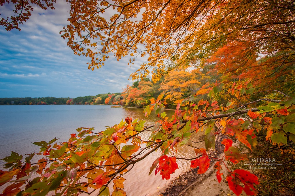 Fall Foliage at Crystal Lake in Orleans Cape Cod. Dapixara images https://dapixara.com