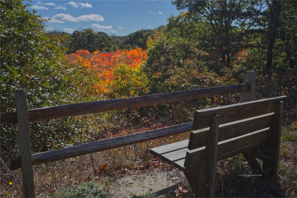 Check out these stunning views of fall foliage in Truro Cape Cod earlier today!