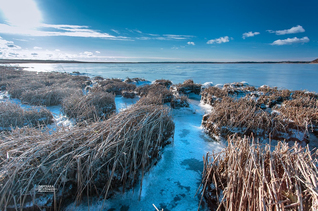 At Nauset Bay in Eastham salt water totally frozen today. Cape Cod winter photos by Dapixara https://dapixara.com
