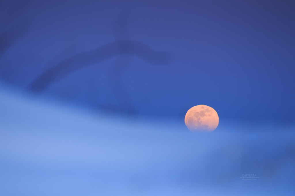 The Full Moon trying to peek through the snowy dunes.Truro, Massachusets. © Dapixara Cape Cod National Seashore photography. https://dapixara.com