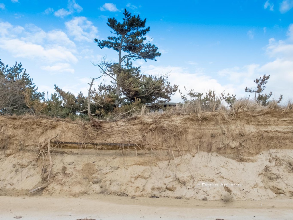 global warming rising oceans beach erosion wellfleet 2020