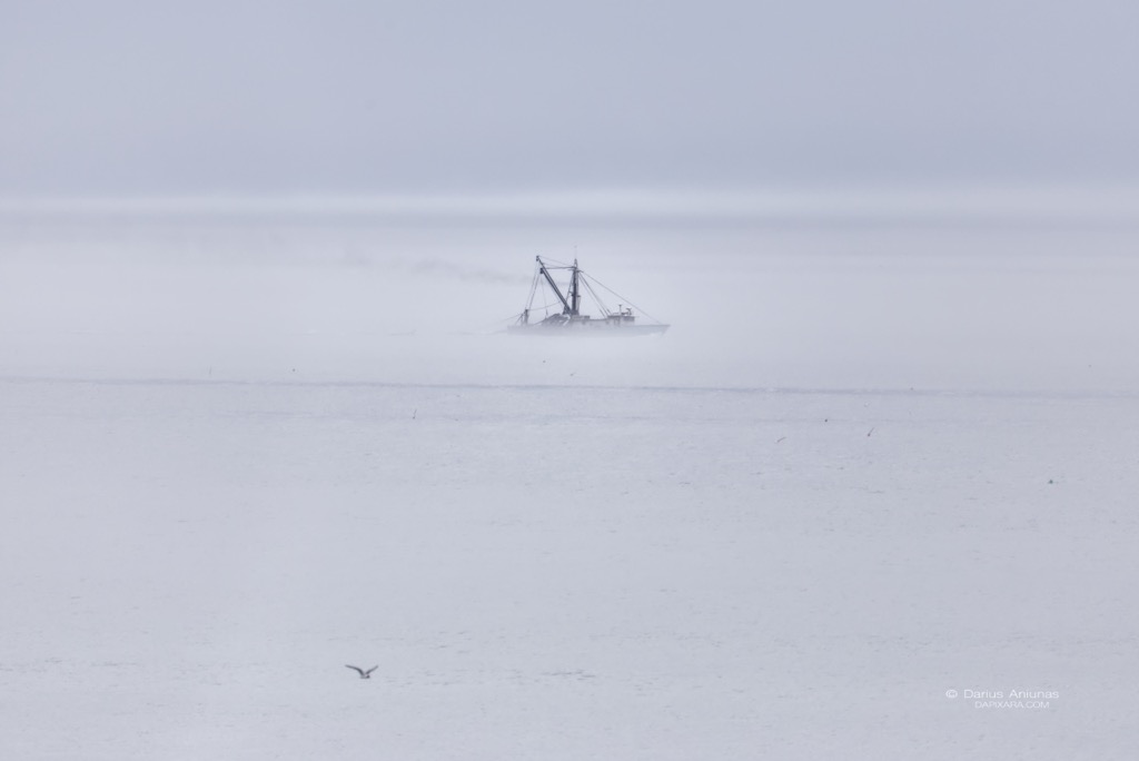ocean fog today at nauset light beach cape cod news