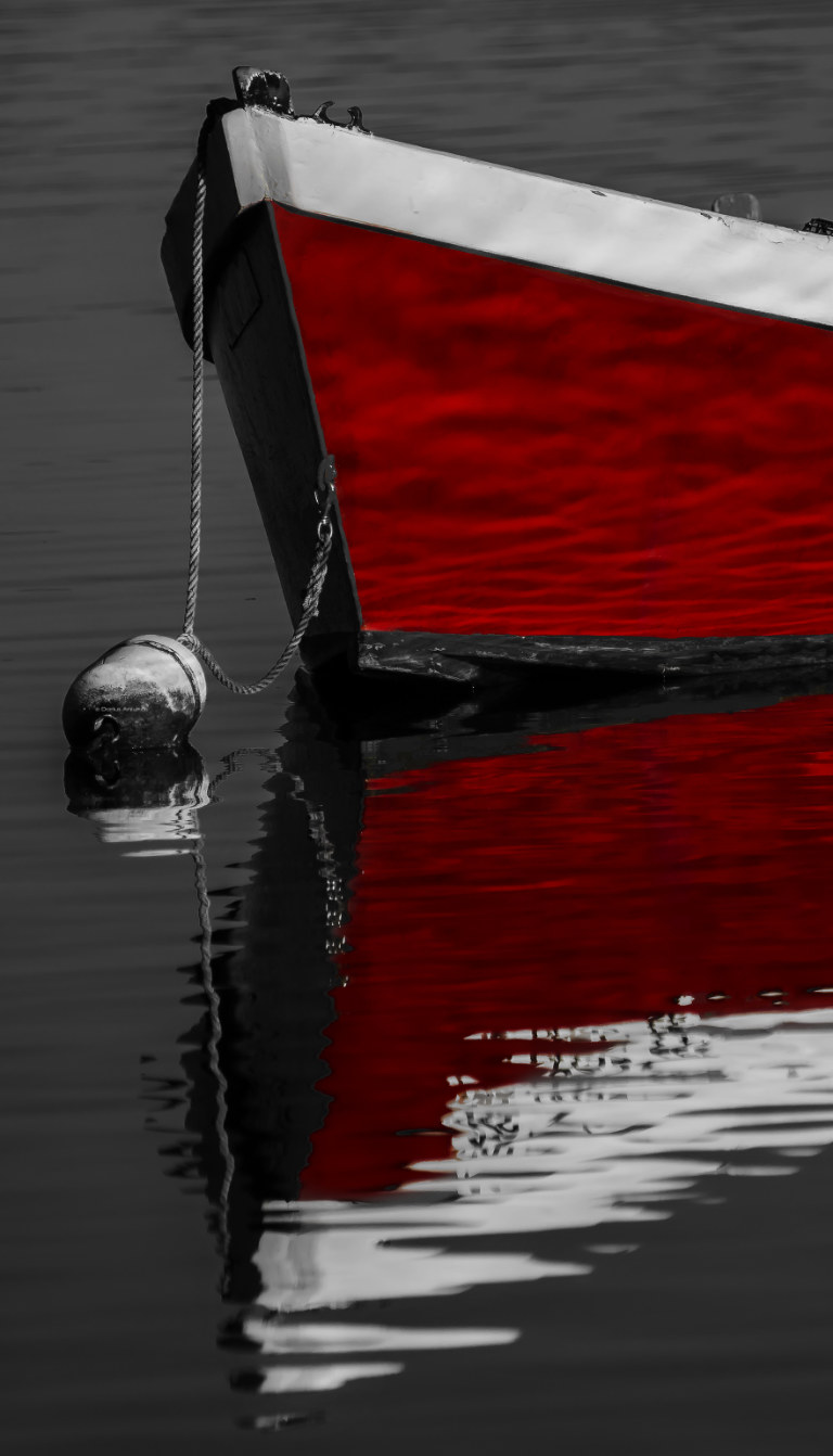 Red Boat 2 Black and white prints for sale by Dapixara