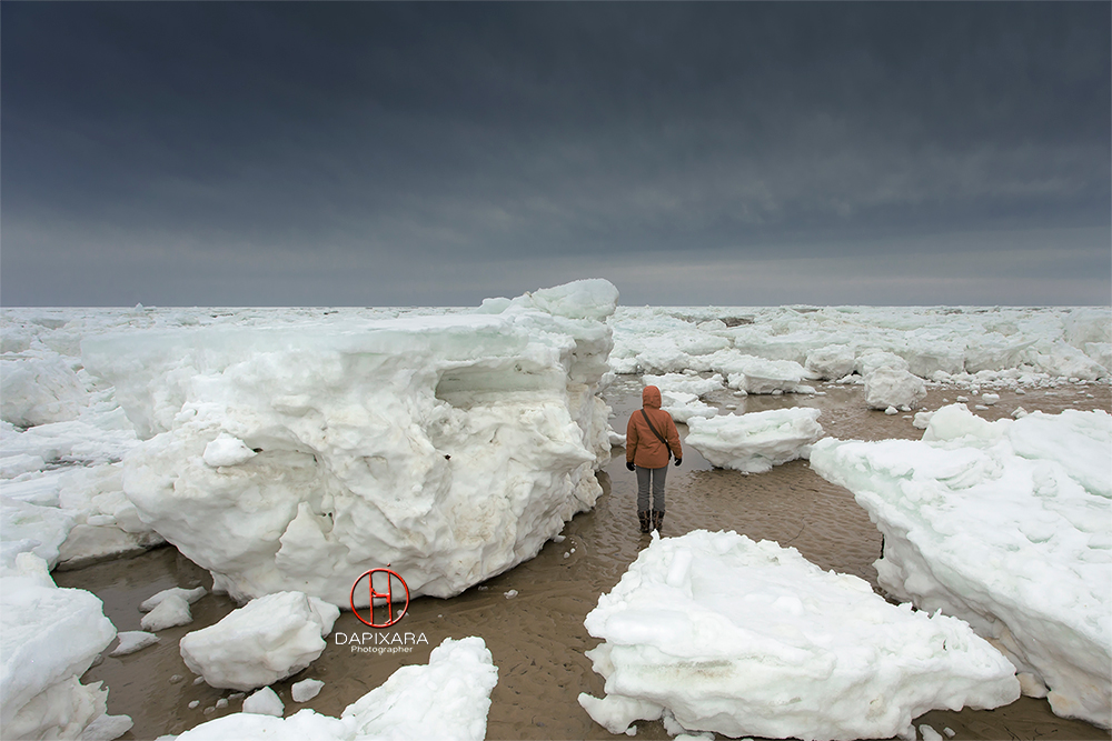 This Is How Thick Ice In Wellfleet Cape Cod Wellfleet, Cape Cod Photo by photographer Dapixara.