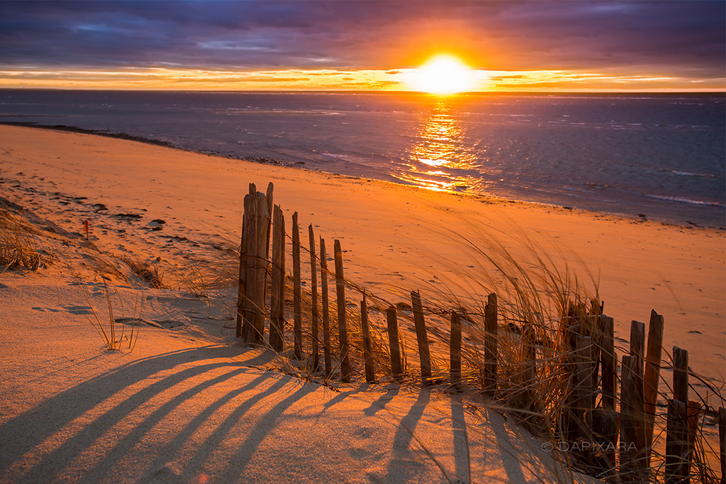 wellfleet-beach-sunset