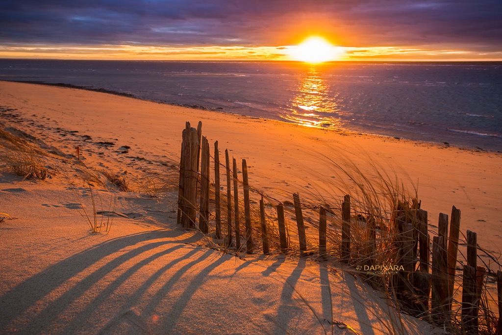 wellfleet beach winter sunset. © Dapixara - Cape Cod photography.