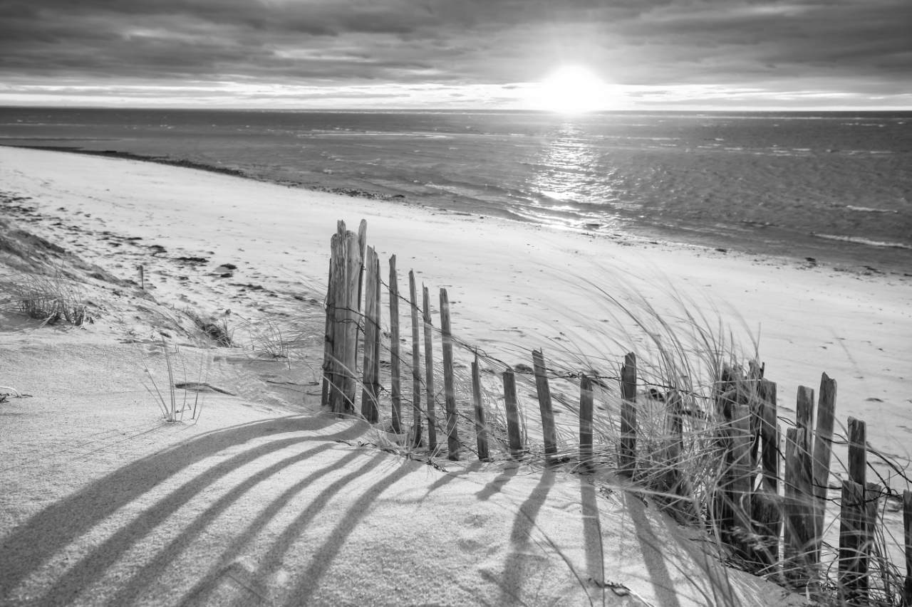 Cape Cod Beach Fence. Framed black and white photography print of old wooden sand dune fence in Wellfleet, Massachusetts. by Darius. A - Dapixara.