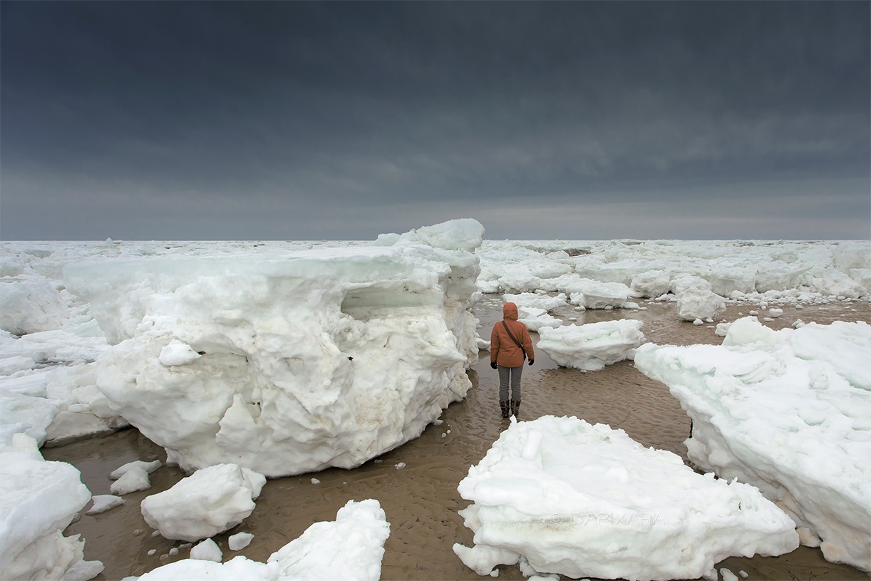This Is How Thick Ice In Wellfleet, Cape Cod. Big Ice In Cape Cod. Photo by Dapixara. After I took this photo on Great Island beach in Wellfleet, Massachusetts on March 4, 2015 this photograph made national news on all news platforms from America to Europe! Thank You All! 
Dapixara.