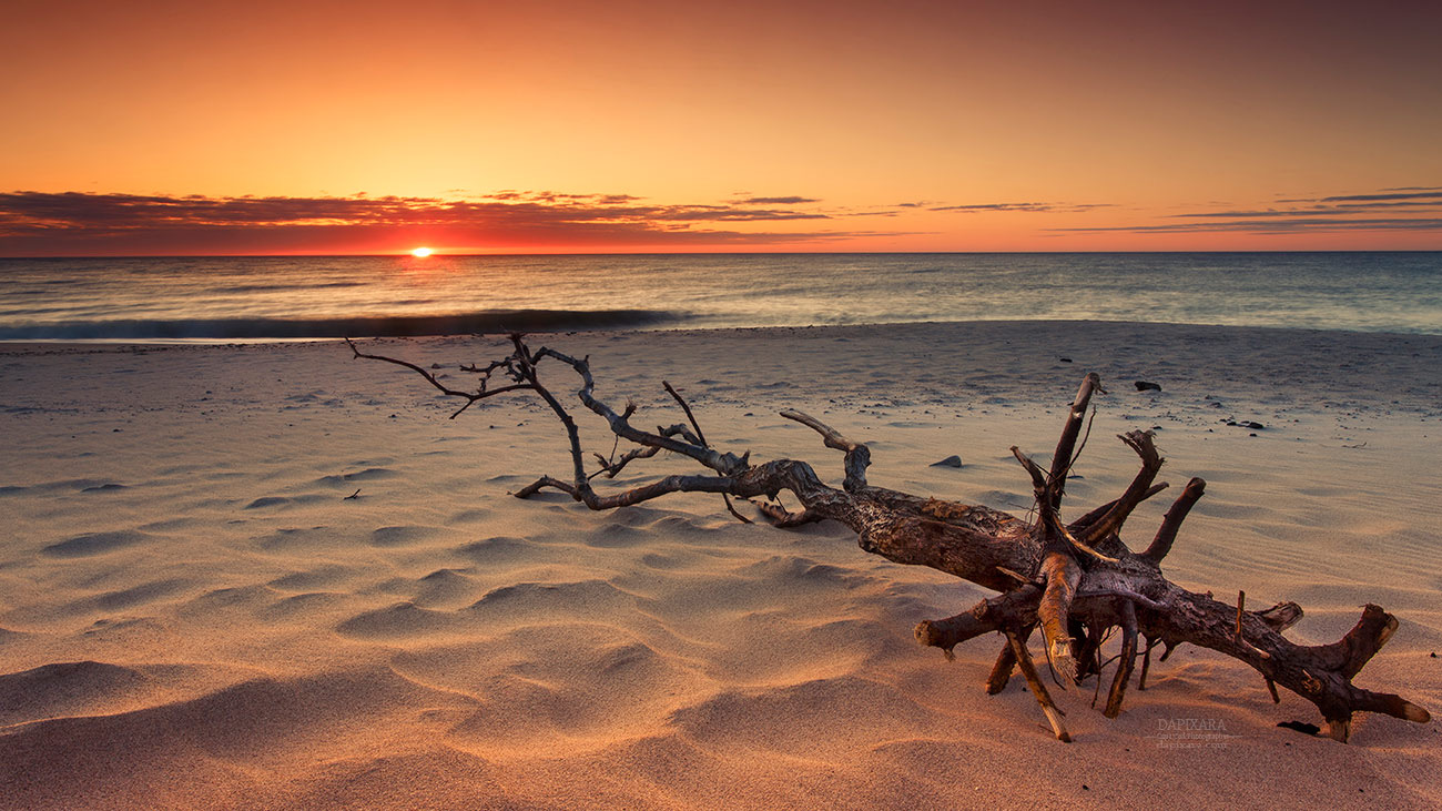 Fine art print. Driftwood and unbelievable ocean sunrise. Ocean artwork for sale by Cape Cod photographer  Dapixara. 