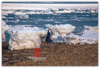 Human Size Ice Chunks (Cape Cod Icebergs) In Wellfleet, Duck Harbor, Cape Cod. © Dapixara photography.