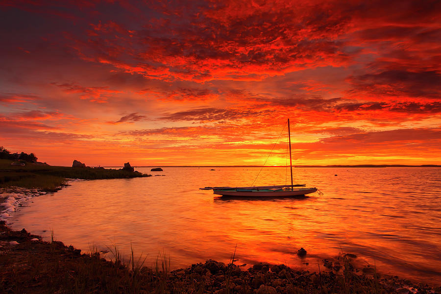 BEACH SUNRISE Ocean Electrified Seascape Wall Art - Dapixara Darius. A.