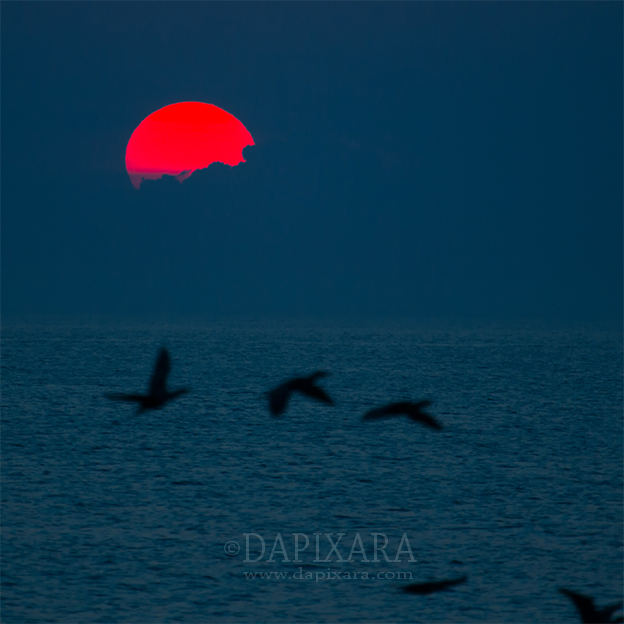 Big sunrise on Nauset beach. © Dapixara.