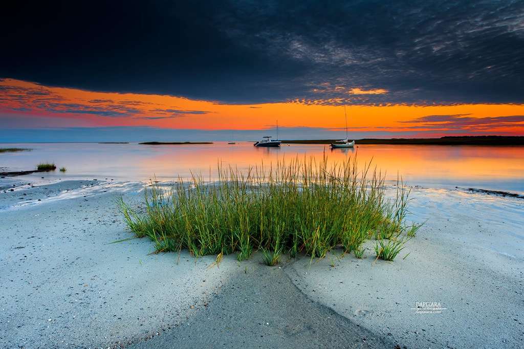 Boat Meadow beach Cape Cod. Cape Cod beaches, Eastham Boat Meadow beach. © Dapixara photography.