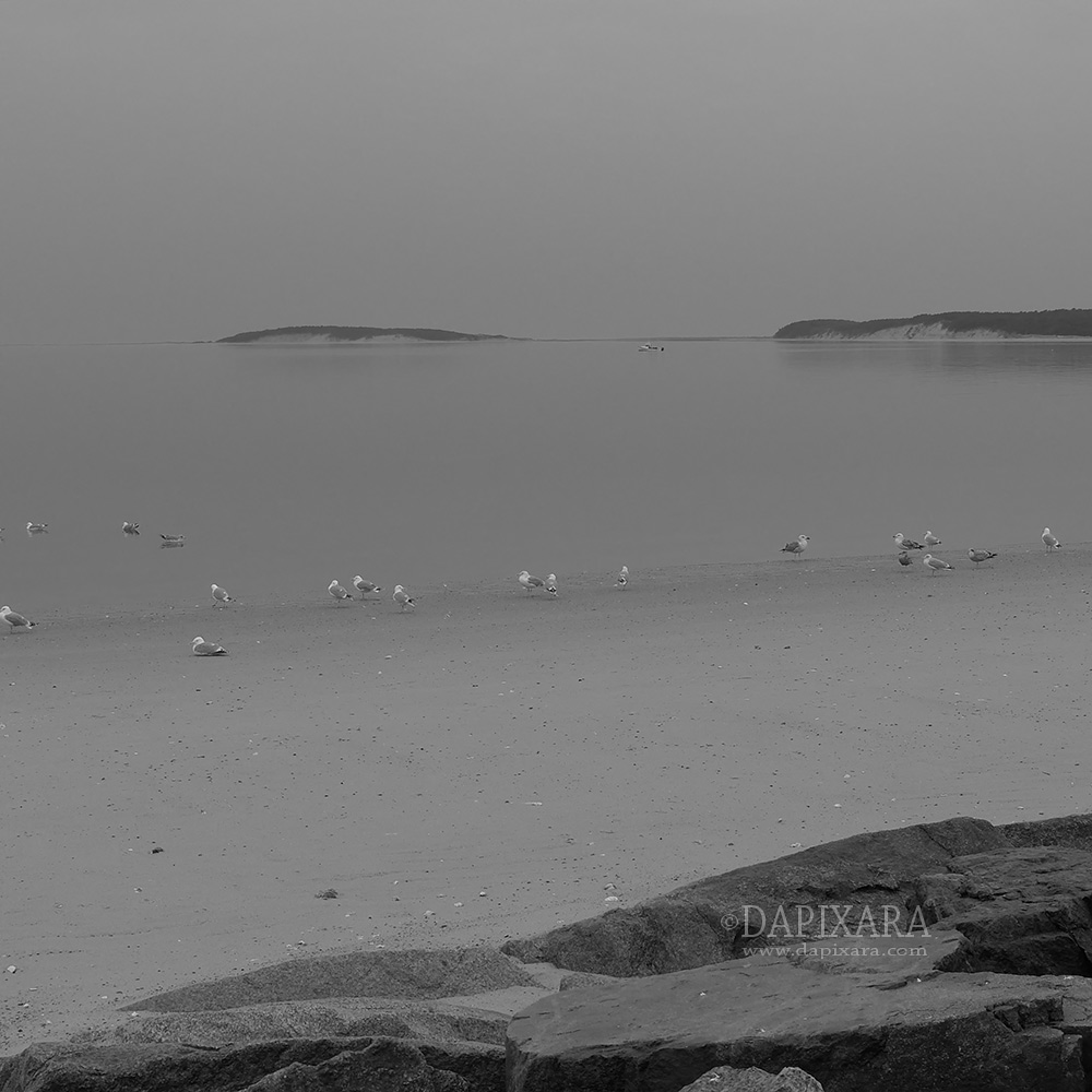 Photos of Calm Before The Rain. Fishing boat in Wellfleet, MA. 3