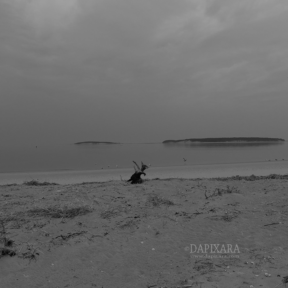 Photos of Calm Before The Rain. Fishing boat in Wellfleet, MA. 4