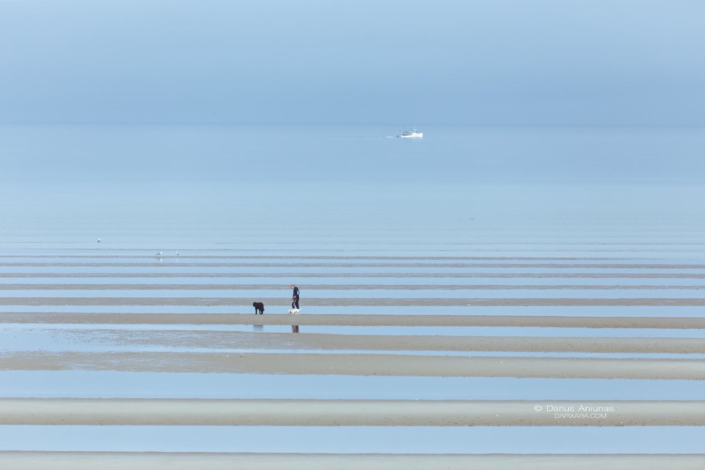 cape cod beaches eastham massachusetts beach news today