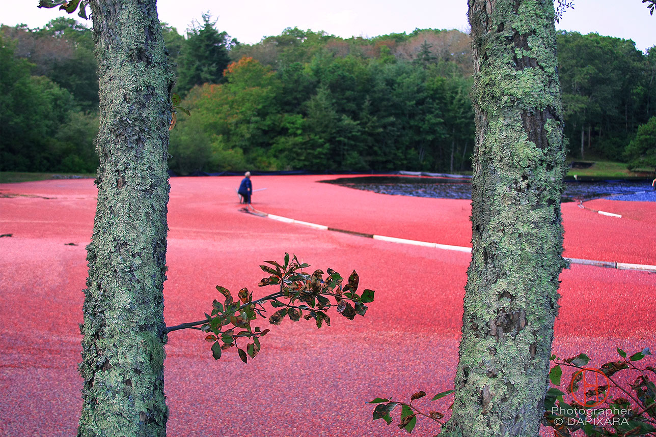 Cape Cod, Massachusetts - Tourist Destinations