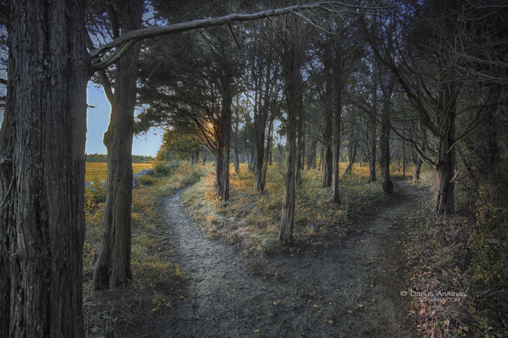 cape-cod-hiking-trails