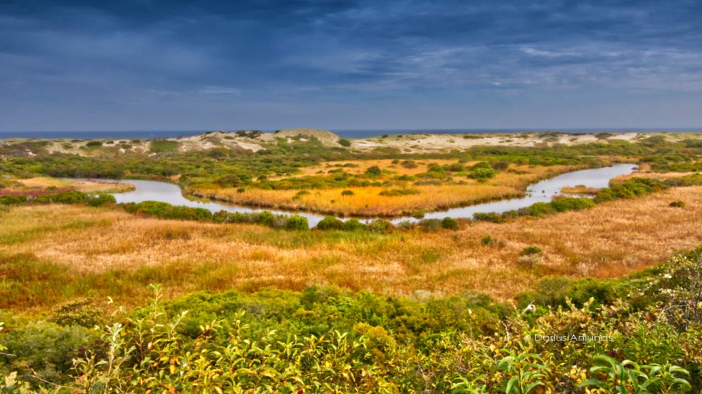 Sand Dunes and Ocean, Truro, Massachusetts. Cape Cod photography by Darius. Aniunas - Dapixara.