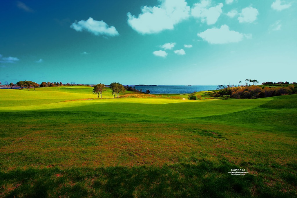 Cape Cod photography. Cape Cod nature photography. © Dapixara.