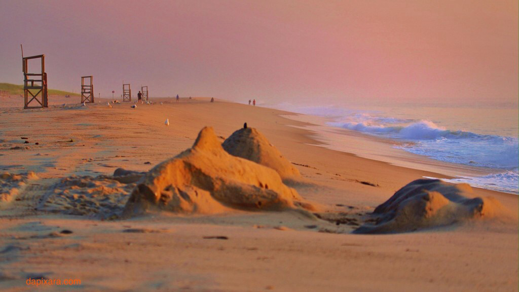 cape-cod-shark-2. Cape Cod sand shark. Photograph dapixara.