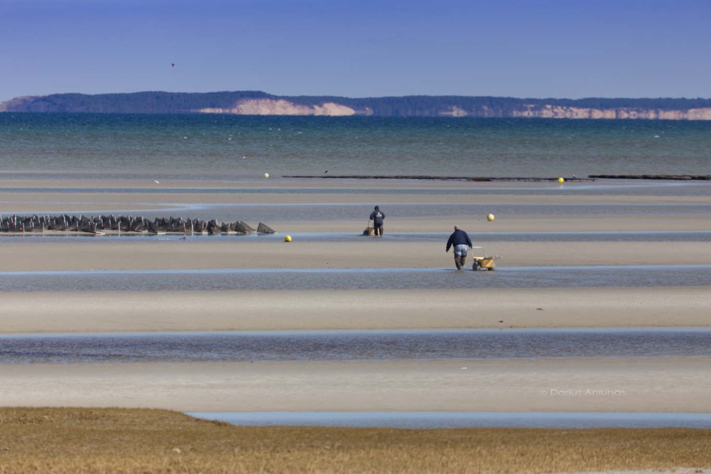 Cape Cod spring photos: Skaket beach, Orleans, Massachusetts.