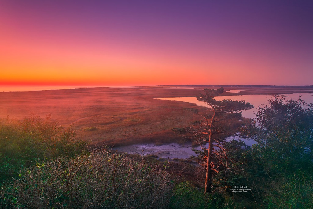 Today great sunrise at Coast Guard beach - Cape Cod National Seashore. Photo by Cape Cod photographer Dapixara https://dapixara.com