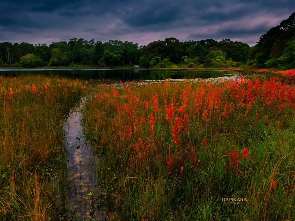'Remarkable Colors Of Fall' Pilgrim Lake, Orleans, Massachusetts. © Dapixara photography.