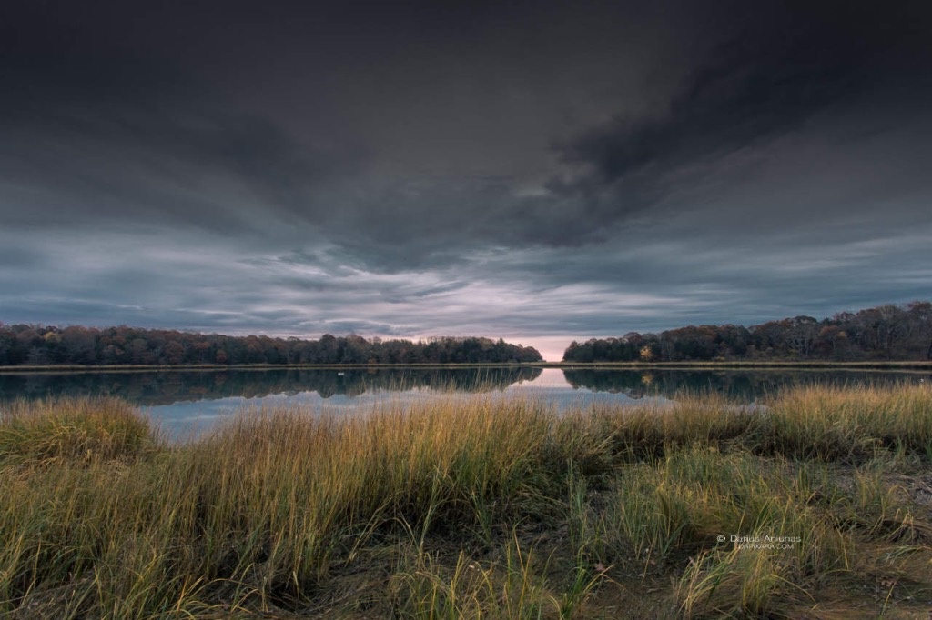 Eastham ma, Mysterious Salt Pond Marches. Cape Cod news