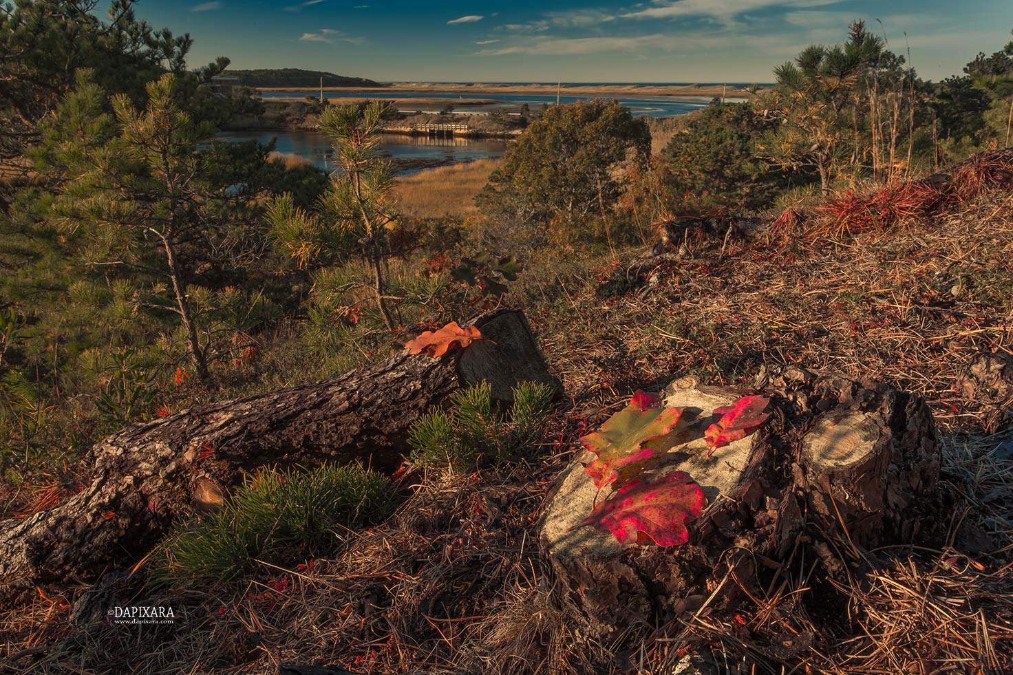 Fall Foliage Wellfleet Cape Cod. Dapixara photography.