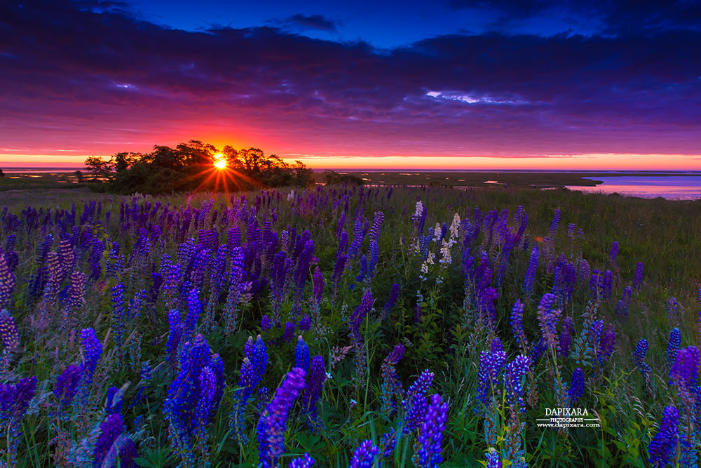 Cape Cod, Massachusetts - Cape Cod National Seashore