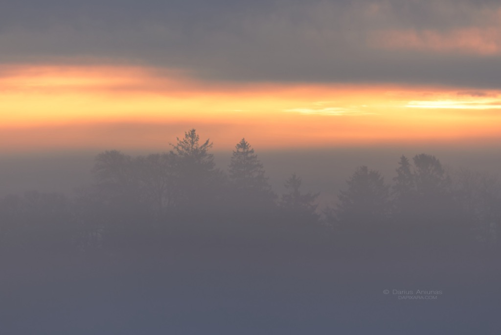 A thick blanket of fog covers Cape Cod today. Beautiful foggy morning today on Cape Cod. Cape Cod News - DAPIXARA