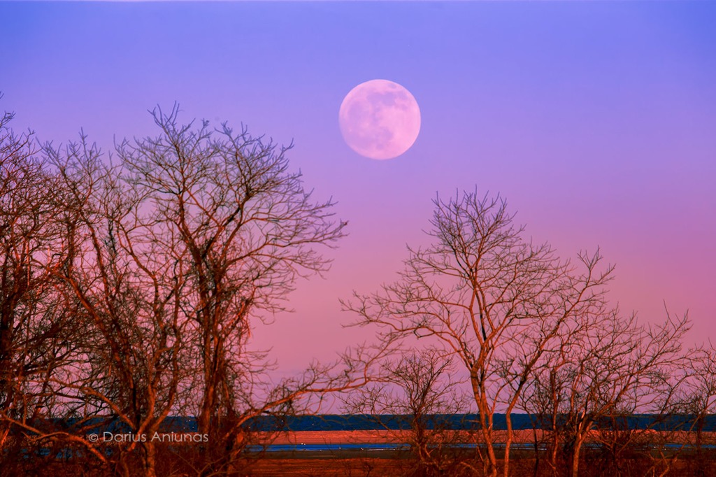 Full-Moon-January-9-2020