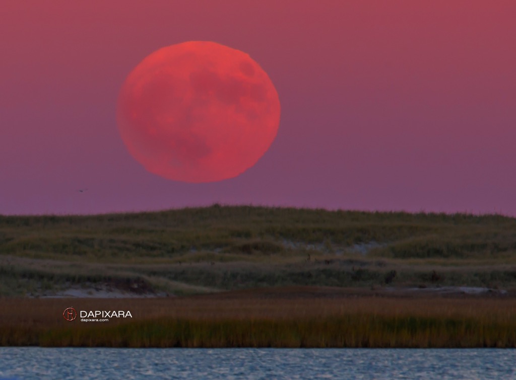Friday the 13 brings a Full Moon! Full Moon on Cape Cod. © Dapixara.
