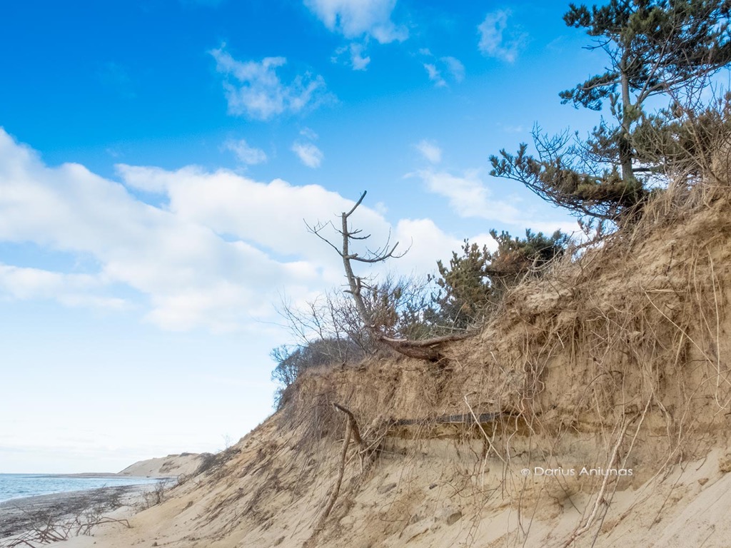 global warming rising oceans beach erosion wellfleet 2020 cape cod