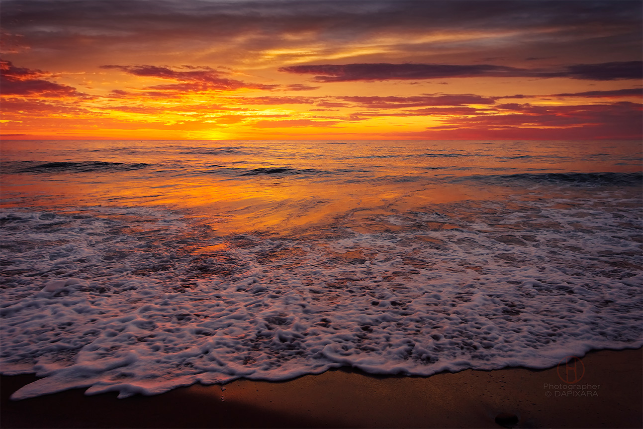 Gold Exuberance. Atlantic Ocean Dapixara Cape Cod photography.