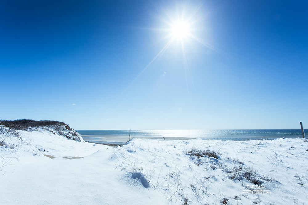Great Island Wellfleet Unexpected Winter Weather. Snowy Great Island. Dapixara photography.