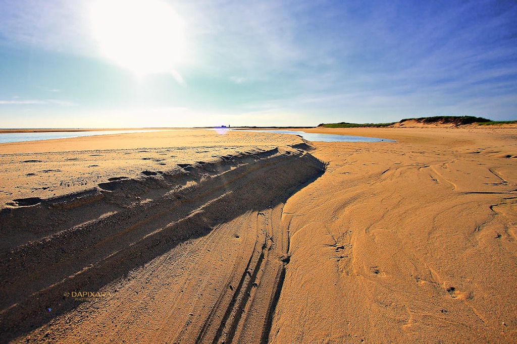 Herring Cove beach, Provincetown. Whale watching from the coast.