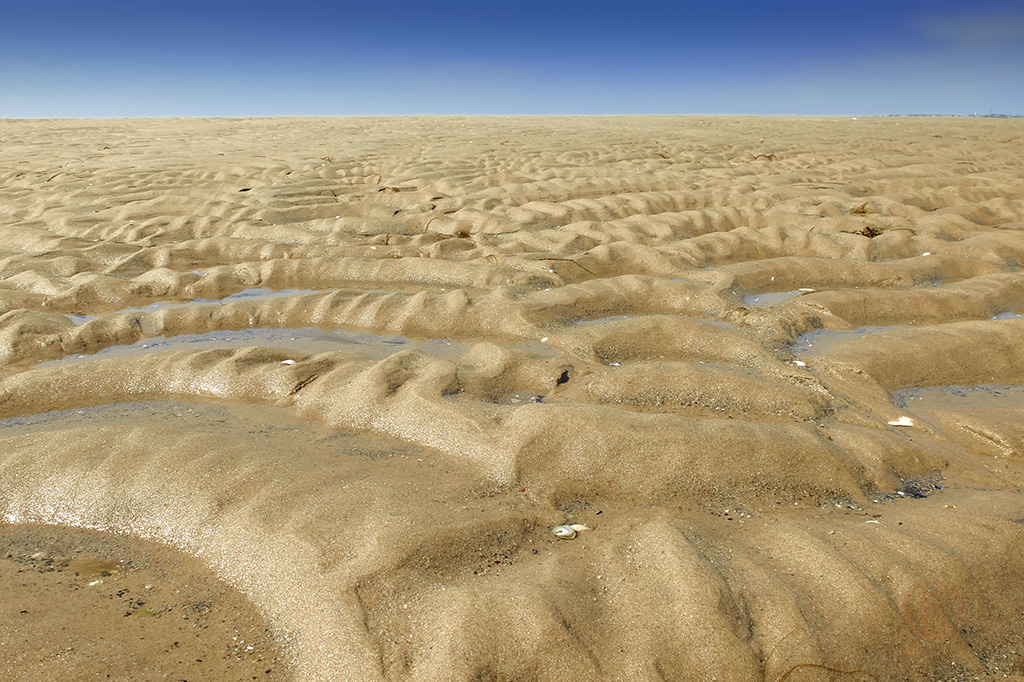 Low tide patterns. Wellfleet, Massachusetts. Dapixara photography.