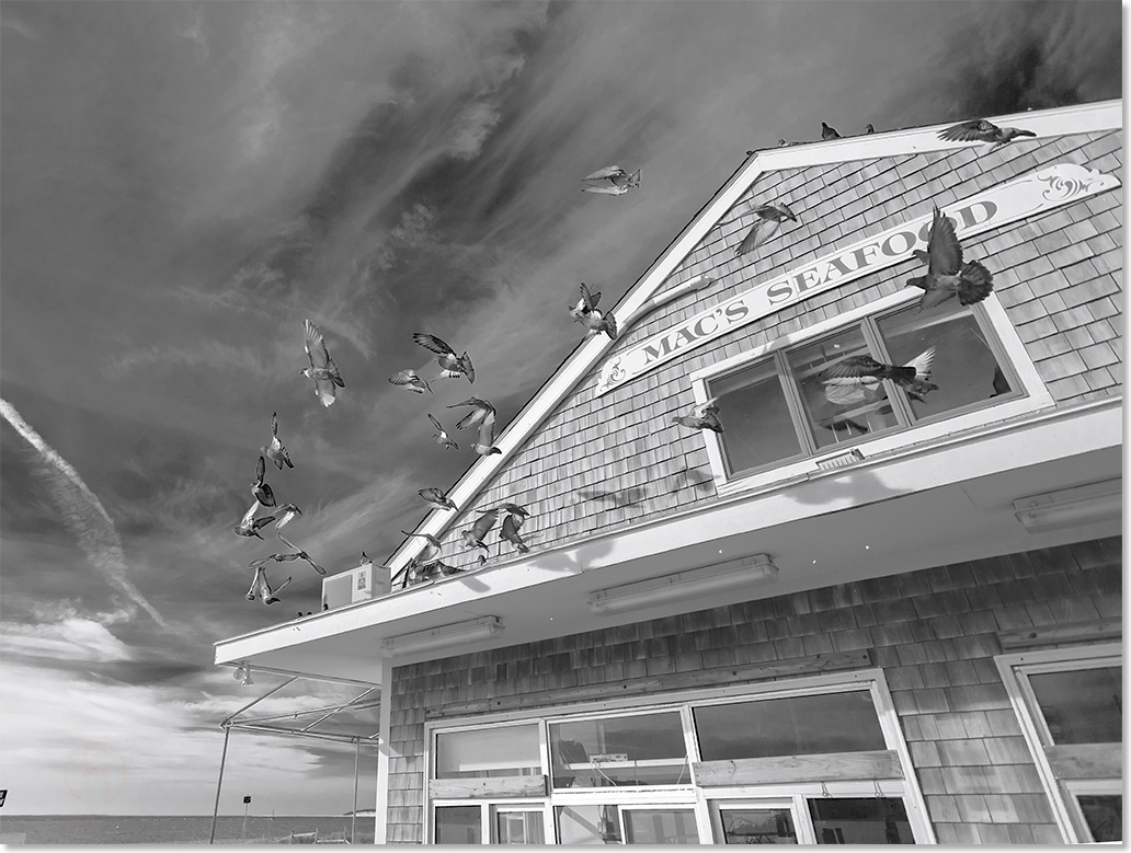Mac's seafood, Wellfleet, Massachusetts black and white photography by Dapixara.