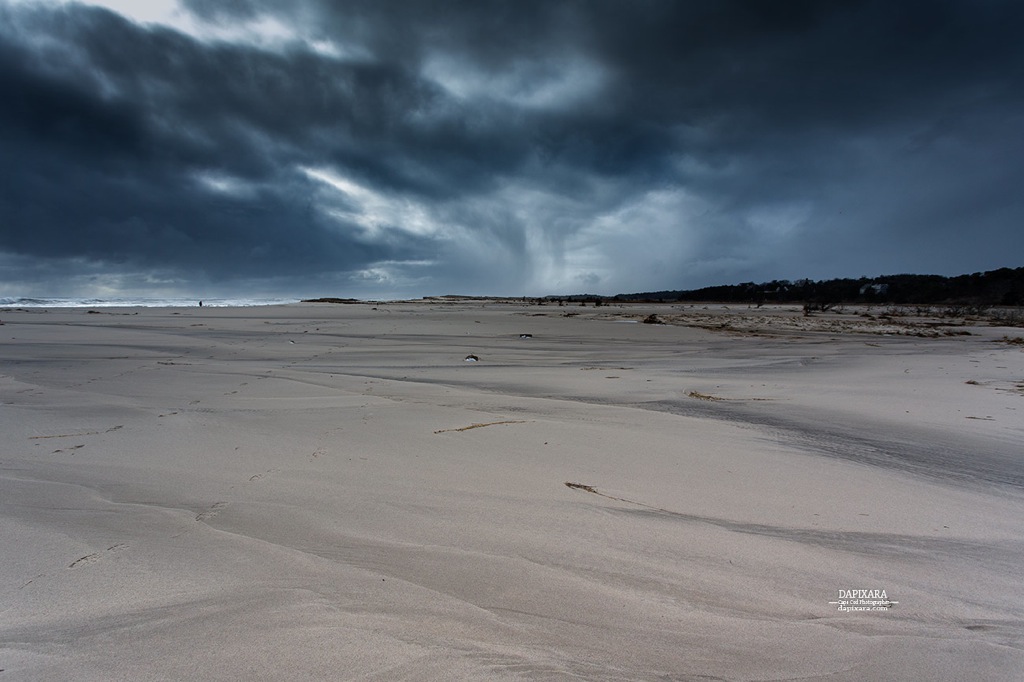 Pochet Neck area ( ORV ) trail March 6, 2018.