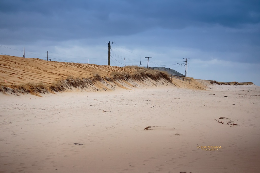 This new dune are our first defense against beach erosion and coastal storms.