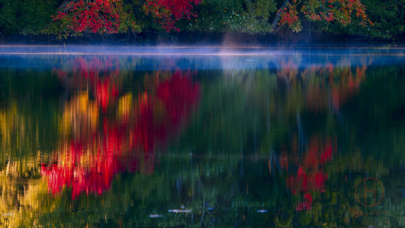 New_England_Fall_Abstract
