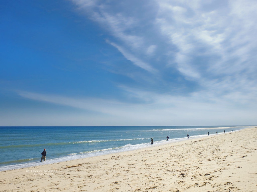 Cape Cod fisherman's social distancing on a beach.
